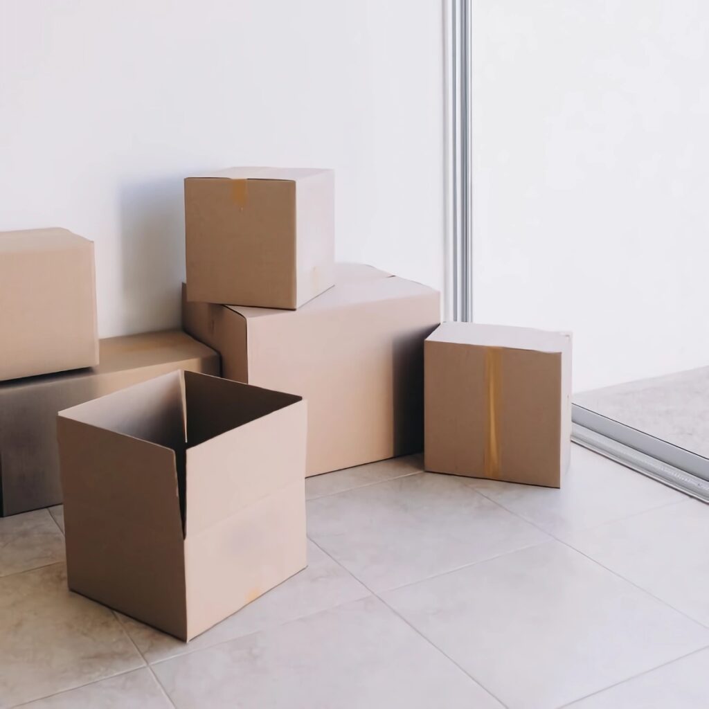 diseño sin título (2)